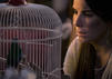 Netflix Bird Box: Sandra Bullock