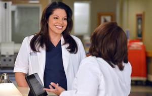 Grey's Anatomy Callie