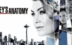 „Grey’s Anatomy” Staffel 15: Schock! Lässt sich dieses Paar scheiden?