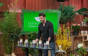 Lucky Plant bei DHDL