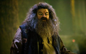 Harry Potter, Hagrid