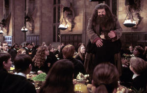Harry Potter Hagrid