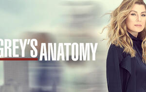 Fans aufgepasst! Hier könnt ihr die 19. Staffel "Grey's Anatomy" streamen!
