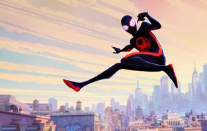 "Spider-Man: Across the Spider-Verse" im Stream oder auf DVD, Blu-ray und im Steelbook