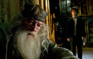Harry Potter: Daniel Radcliffe, Michael Gambon