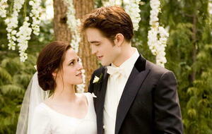  „Twilight“-Reboot: Spielen diese beiden Netflix-Stars mit? 