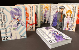 Neon Genesis Evangelion Perfect Edition Sammelschuber