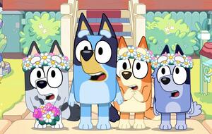 „Bluey“: Neue Folgen bei Disney+ angekündigt! | DAS ist dieses Mal anders