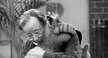 "Alf"-Darsteller Max Wright ist gestorben