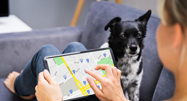 Ein GPS Tracker für Hunde und ein Tablet