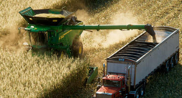 Szene aus Landwirtschafts-Simulator 22: Mähdrescher und LKW ernten ein Maisfeld ab.