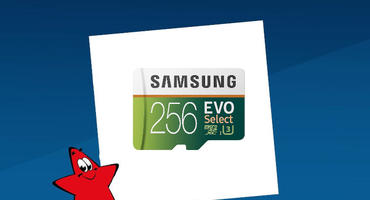 Samsung Evo Select mit 256 GB Speicherplatz. Grüne microSD-Karte.