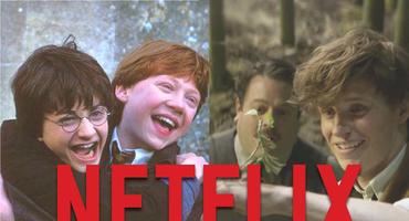 Netflix schnappt sich "Harry Potter" und "Phantastische Tierwesen"