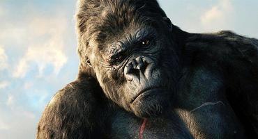 "Skull Island": Dreht "Attack the Block"-Regisseur Joe Cornish neuen "King Kong"-Film?