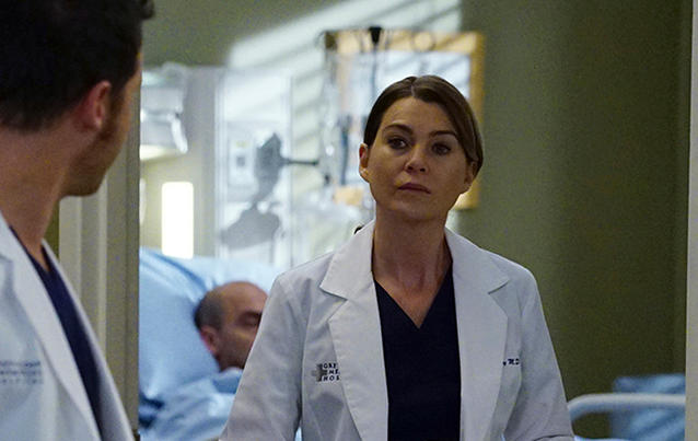 Grey&#039;s Anatomy, Staffel 14