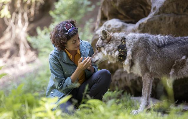 Der Ranger: Liza Tzschirner