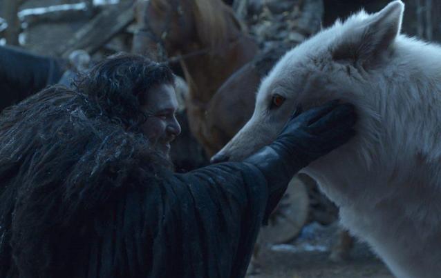 &quot;Game of Thrones&quot;-Finale: Jon Snow und Ghost