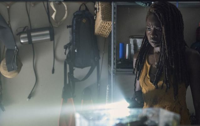 The Walking Dead Michonne TWD