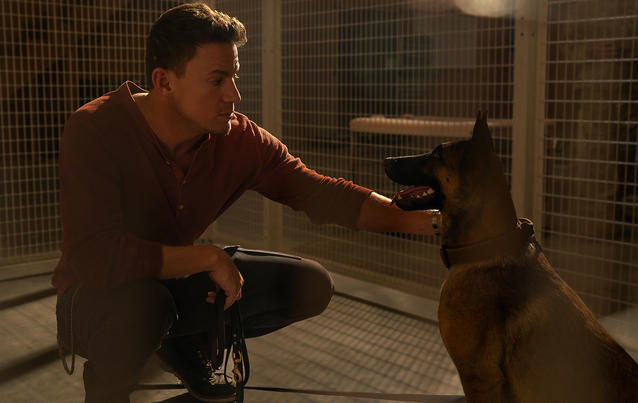 &quot;Dog - Das Glück hat vier Pfoten&quot; mit Channing Tatum