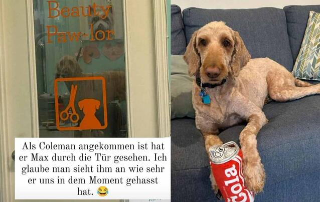 Janina Reimann hat ein schlechtes Gewissen - Hund Max bringt sie aber auch zum Lachen