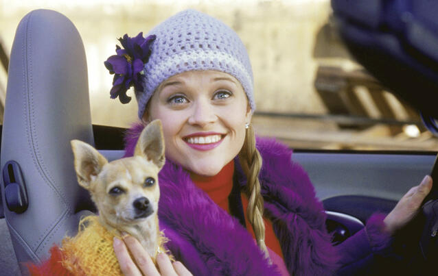 &quot;Natürlich blond!&quot;/&quot;Legally Blonde&quot;: Reese Witherspoon als Elle Woods mit ihrem Hund Brutus Woods