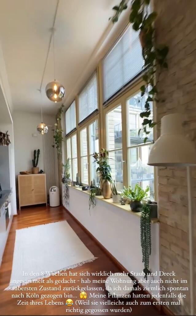 Sophia Thiel hat den grünen Daumen: Ihre Zimmerpflanzen sehen super aus