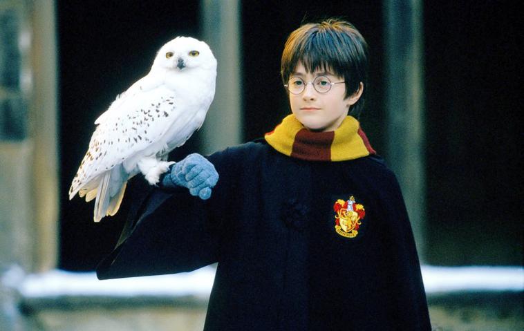 "Harry Potter": Kommt eine Netflix-Serie?