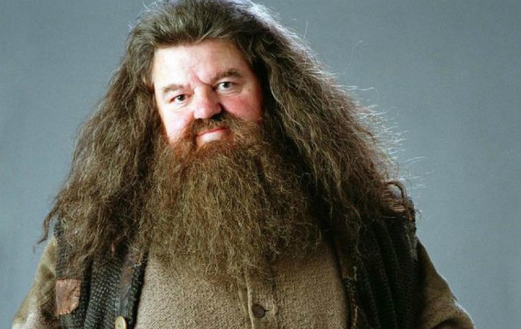 So sieht Hagrid aus "Harry Potter" heute aus!