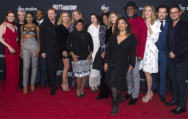 "Grey's Anatomy" Cast 2017