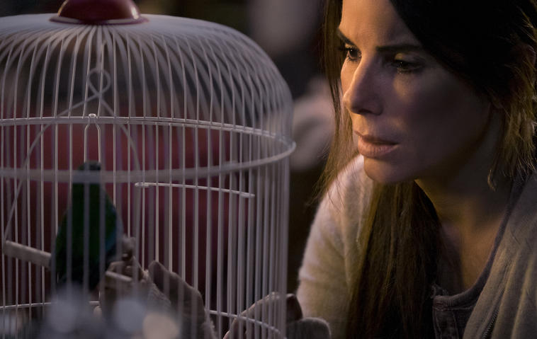 Netflix Bird Box: Sandra Bullock