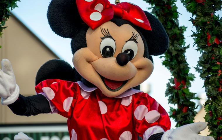 Kinder Maus Kostüm Set Minnie Maus Verkleidung Mickey Mouse Mäuseset Verkleidung 