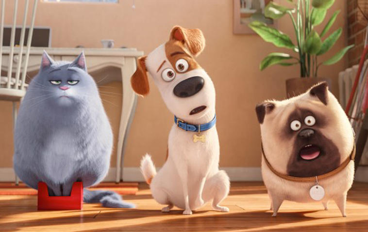 Filmkritik: „Pets 2“ | Über die Freundschaft