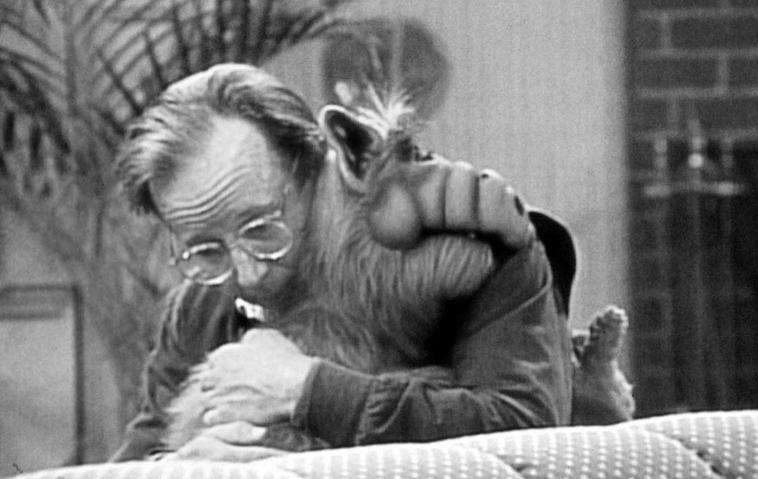 "Alf"-Darsteller Max Wright ist gestorben