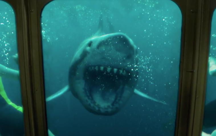 "47 Meters Down: Uncaged"-Trailer: Hai-Horror & Beklemmungsgarantie