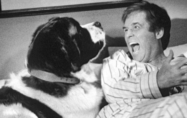 "Ein Hund namens Beethoven"-Star Charles Grodin ist tot