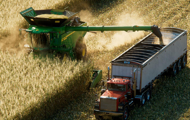 Szene aus Landwirtschafts-Simulator 22: Mähdrescher und LKW ernten ein Maisfeld ab.