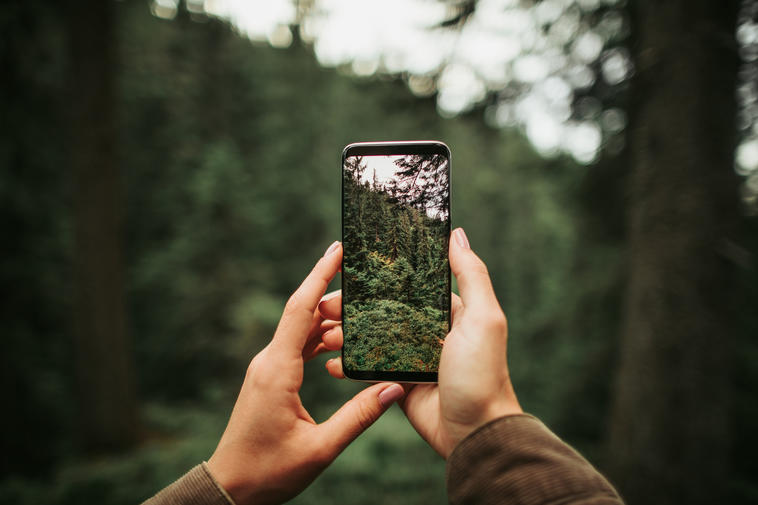 Hand hält Fairphone Alternative 