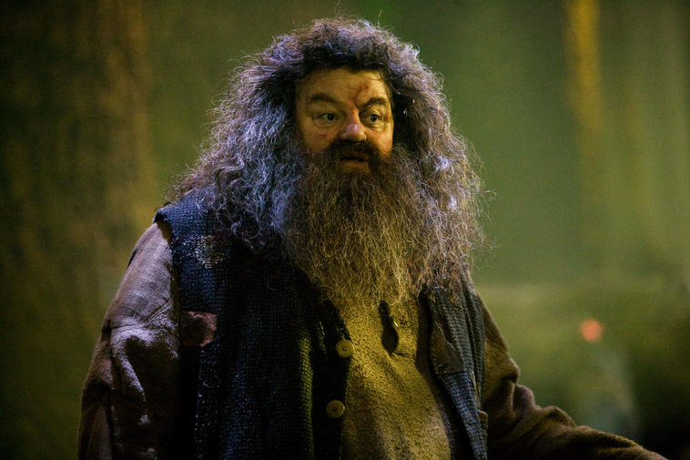 Harry Potter, Hagrid