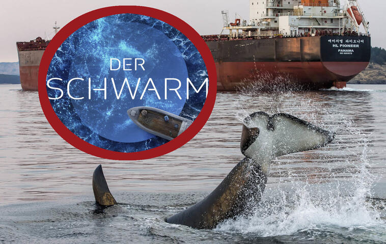 Wie realistisch ist "Der Schwarm" wirklich?