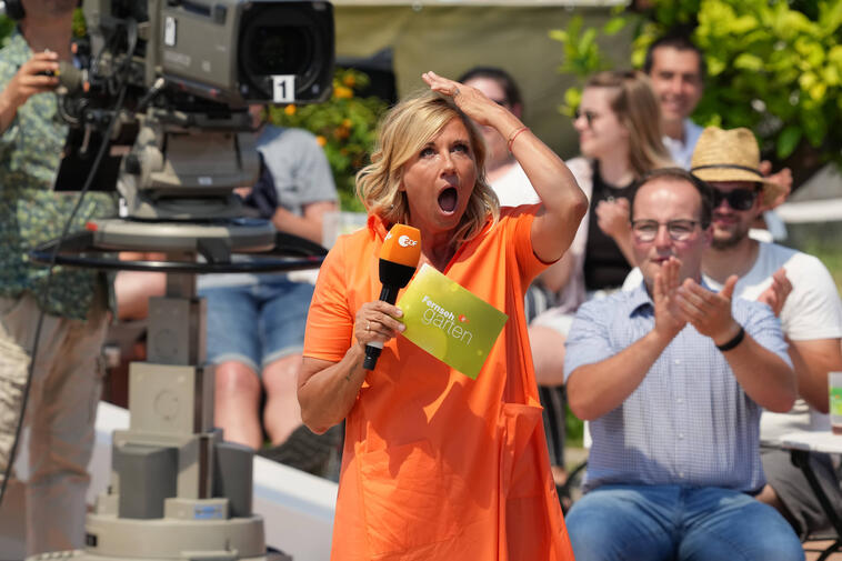 ZDF-Fernsehgarten, Mallorca-Party