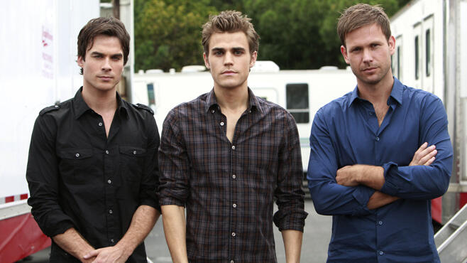 Damon Salvatore, Stefan Salvatore, Alaric, Vampire Diaries