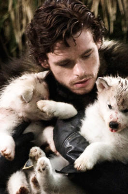 Robb Stark